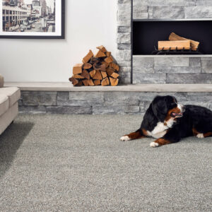 Pet friendly carpet | O'Krent Floors