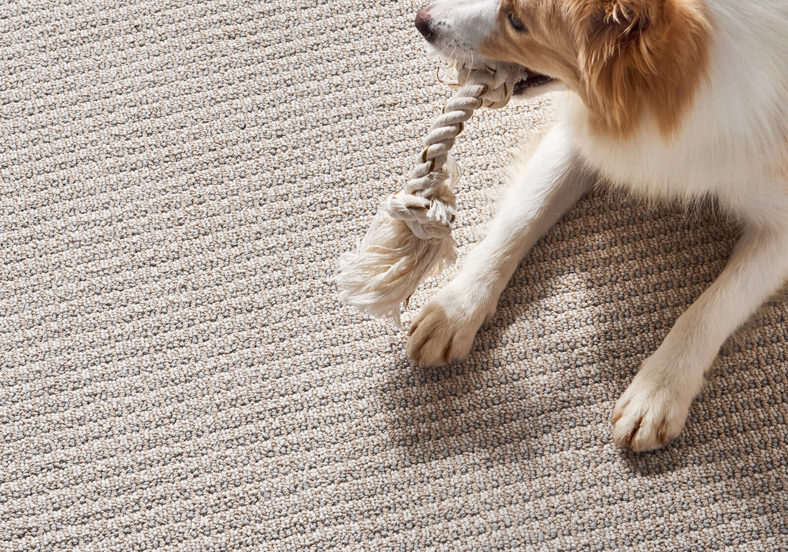 Pet friendly floor | O'Krent Floors